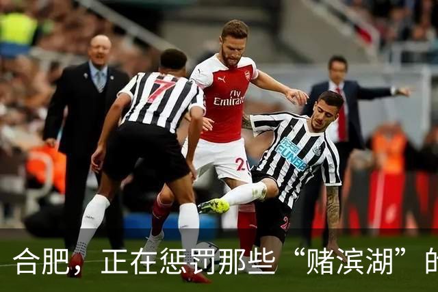 合肥，正在惩罚那些“赌滨湖”的人
