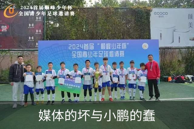 媒体的坏与小鹏的蠢