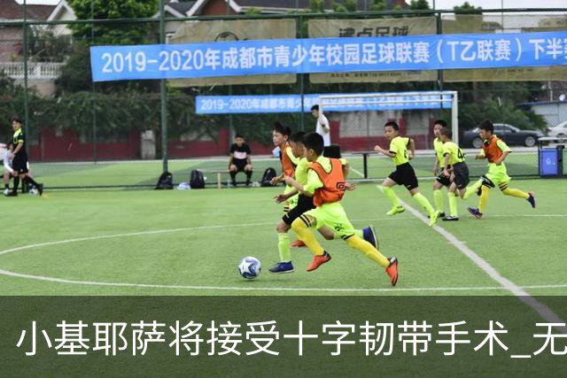 小基耶萨将接受十字韧带手术 无缘世预赛附加赛