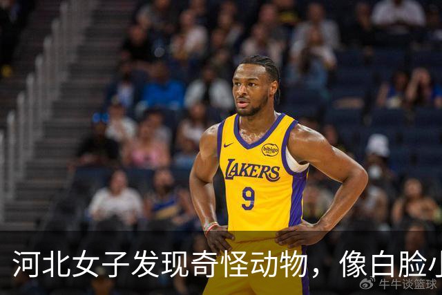 河北女子发现奇怪动物，像白脸小狗，为了给它们留窝连玉米秆都不收了