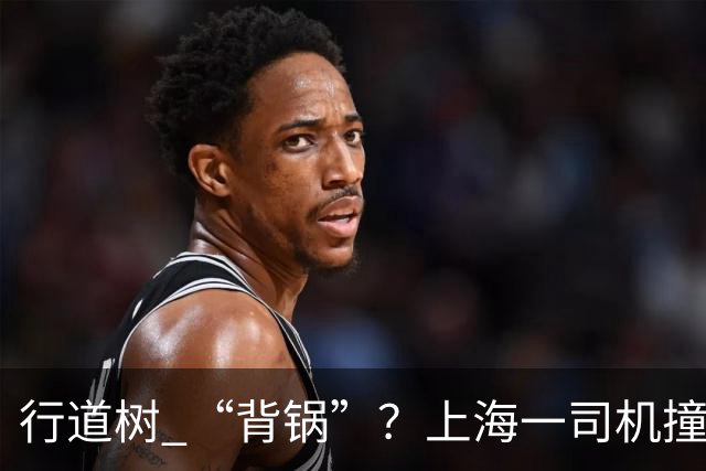 行道树 “背锅”？上海一司机撞树后主张树木全责，结果来了