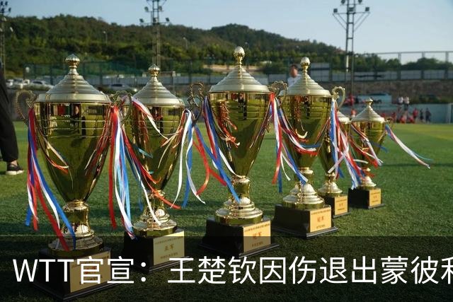 WTT官宣：王楚钦因伤退出蒙彼利埃冠军赛 连续退赛何时复出未知